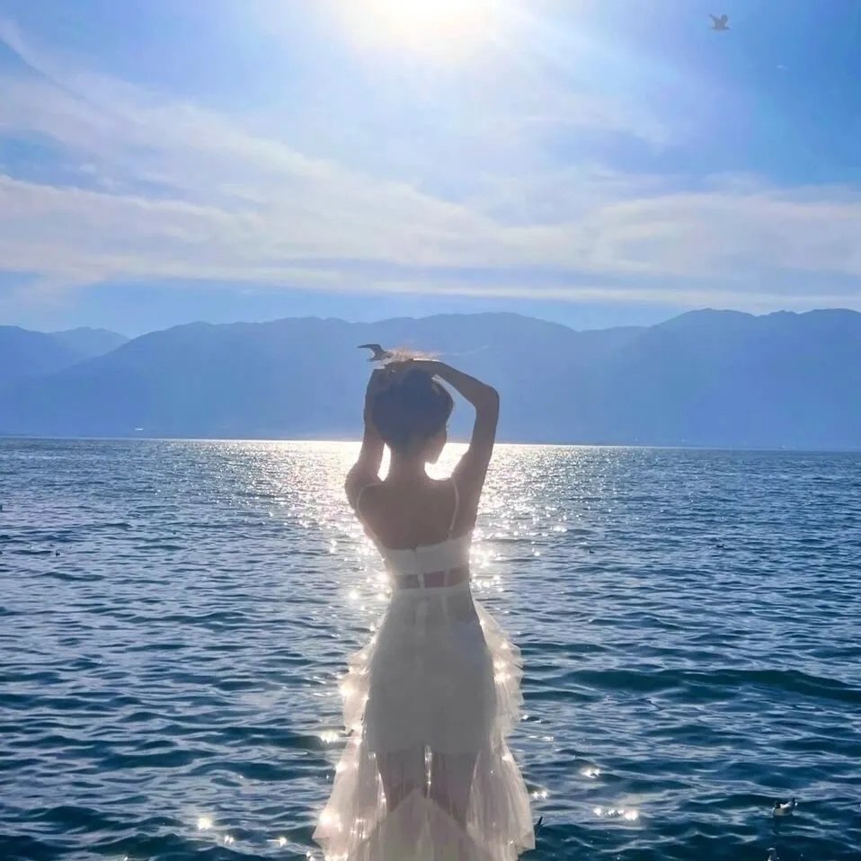 美声歌鸡
